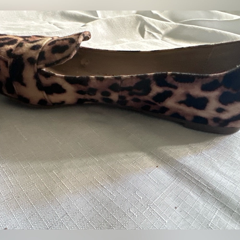 Steve Madden Leopard Print Flats - Picture 10 of 12